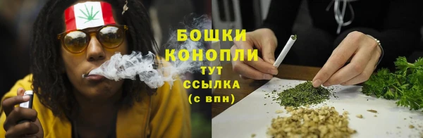 молекула духа Богородск