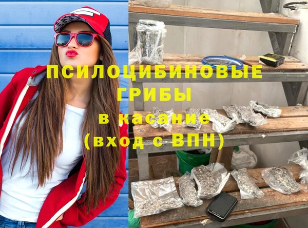 молекула духа Богородск