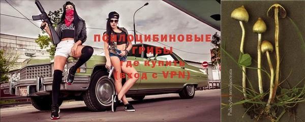 молекула духа Богородск