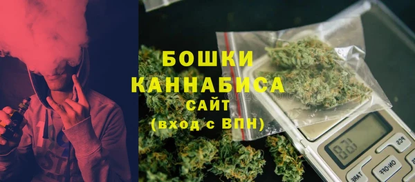 молекула духа Богородск